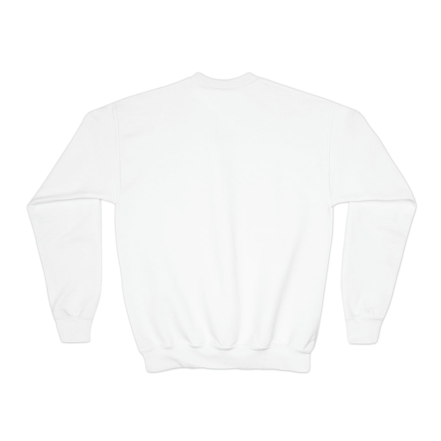 Youth Crewneck Sweatshirt, Back to school outfits, (shipping from US)