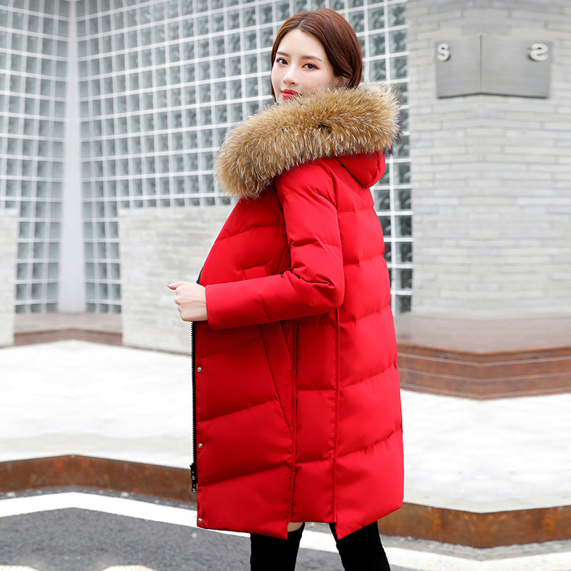 Hooded white duck down mid-length down jacket (shipping from China)